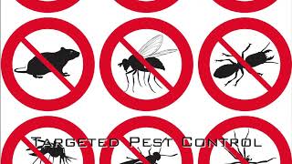 Pest Control Services in Saint Paul MN, details at YellowPages.com