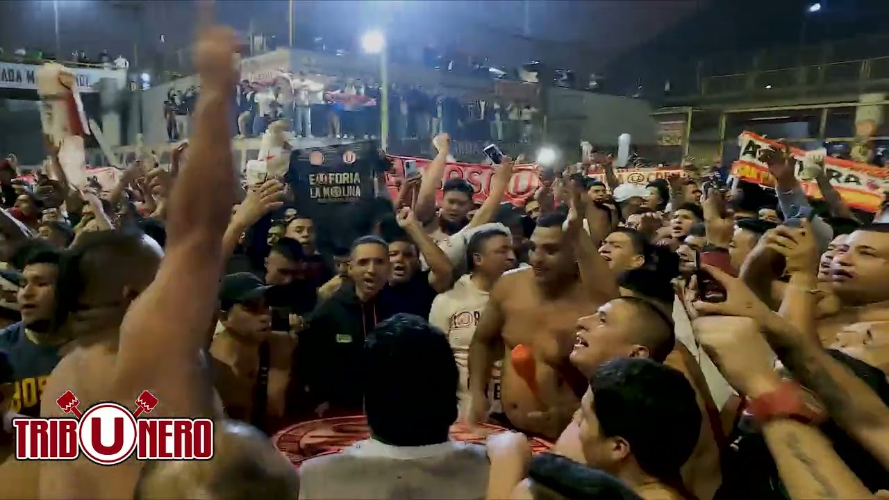 TRINCHERA NORTE (PREVIA COMPLETA) - UNIVERSITARIO vs GANZOS [ CLAUSURA FECHA 11 ] 2024