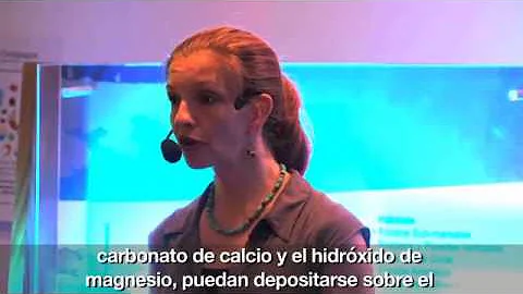 Regerating Coral Reefs to Preserve Marine Biodiver...
