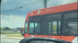 Richard’s Memorial Park #plslikesubscribe #travelandfoodie #shortvideo #toronto #trending #viral