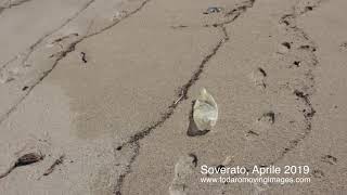 PlasticBeach in Soverato - April 2019