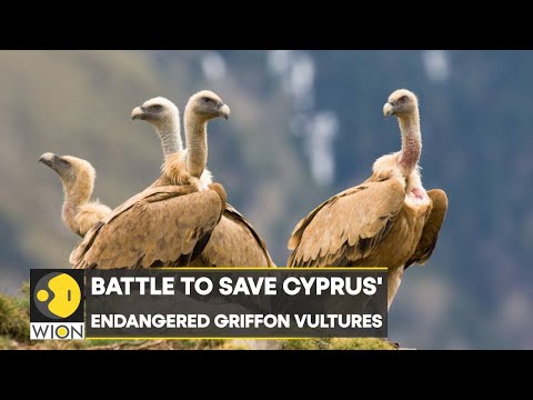 Video: Cyprus: population, climate, area