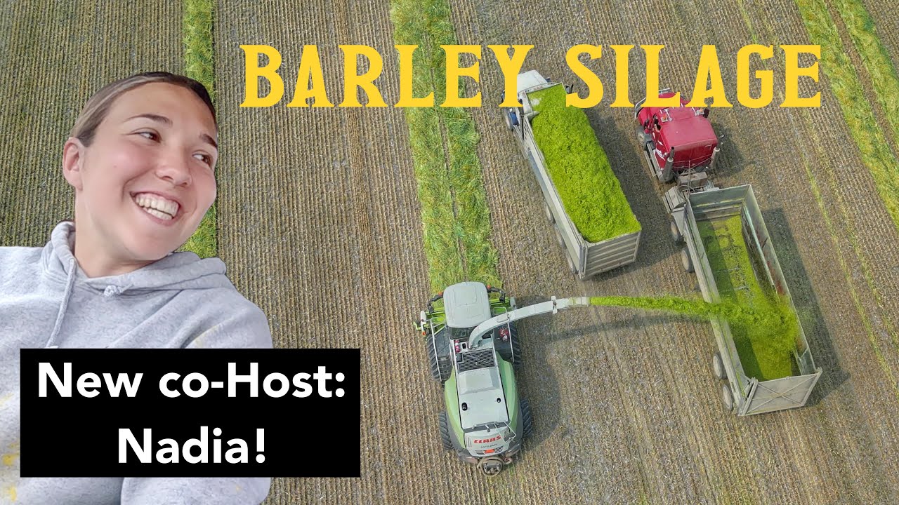 "Lavoie Farms" in full Barley Silage Season more drone footage at 7