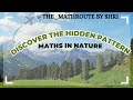 Want to know about the hidden Pattern in Nature ?🍄‍🟫 #interestingfacts 