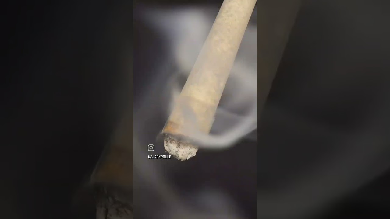 Urban Remo supercharged joint // joint infusé de Remo Farms 