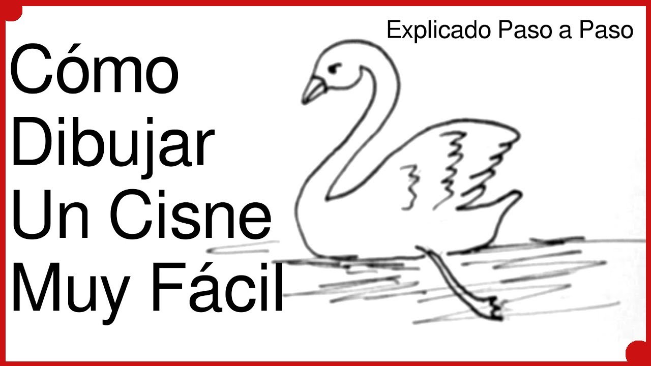 Como Dibujar un Cisne Paso a Paso y Muy Facil Narrado: Dibujo Para Niños -  thptnganamst.edu.vn