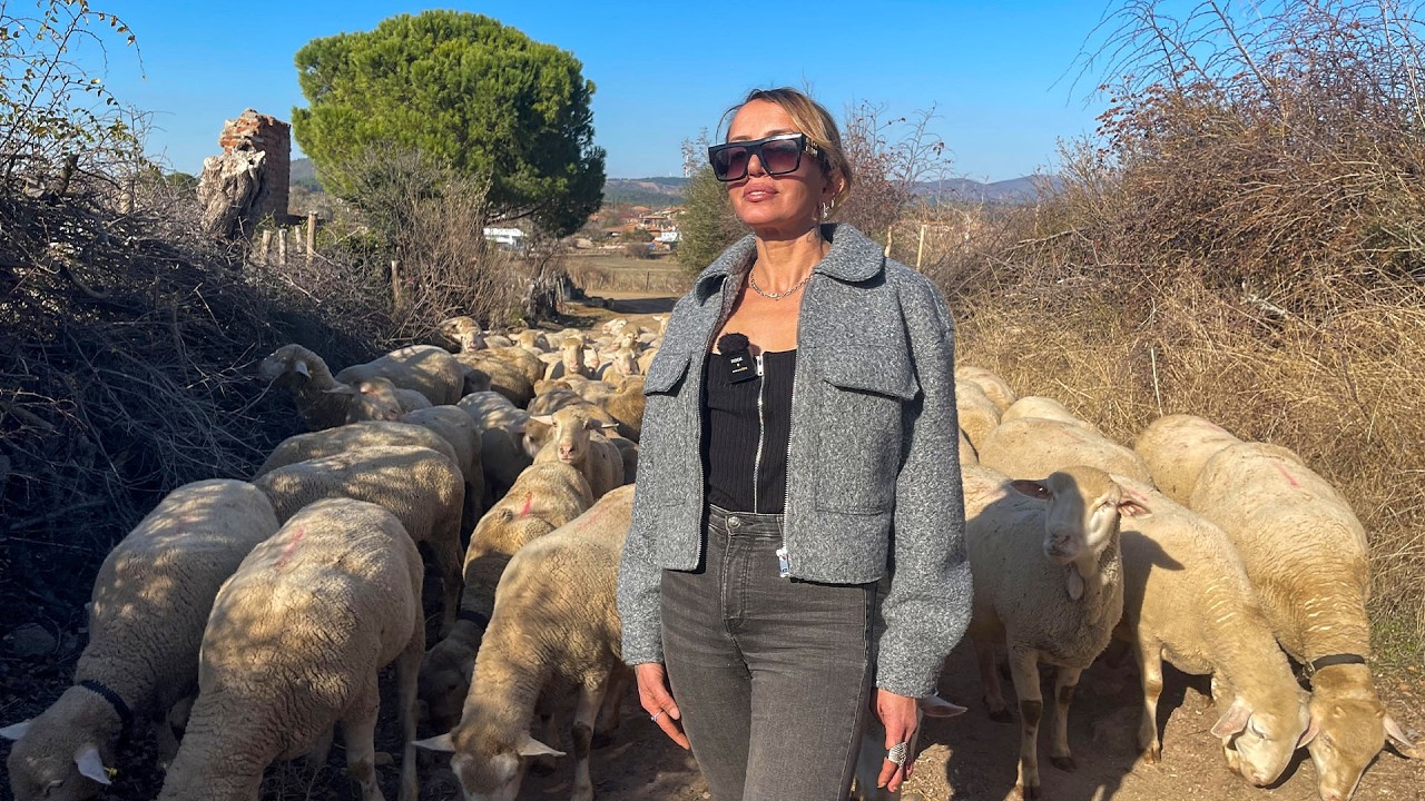 Из мира моды в фермерскую жизнь: вдохновляющая история одной женщины