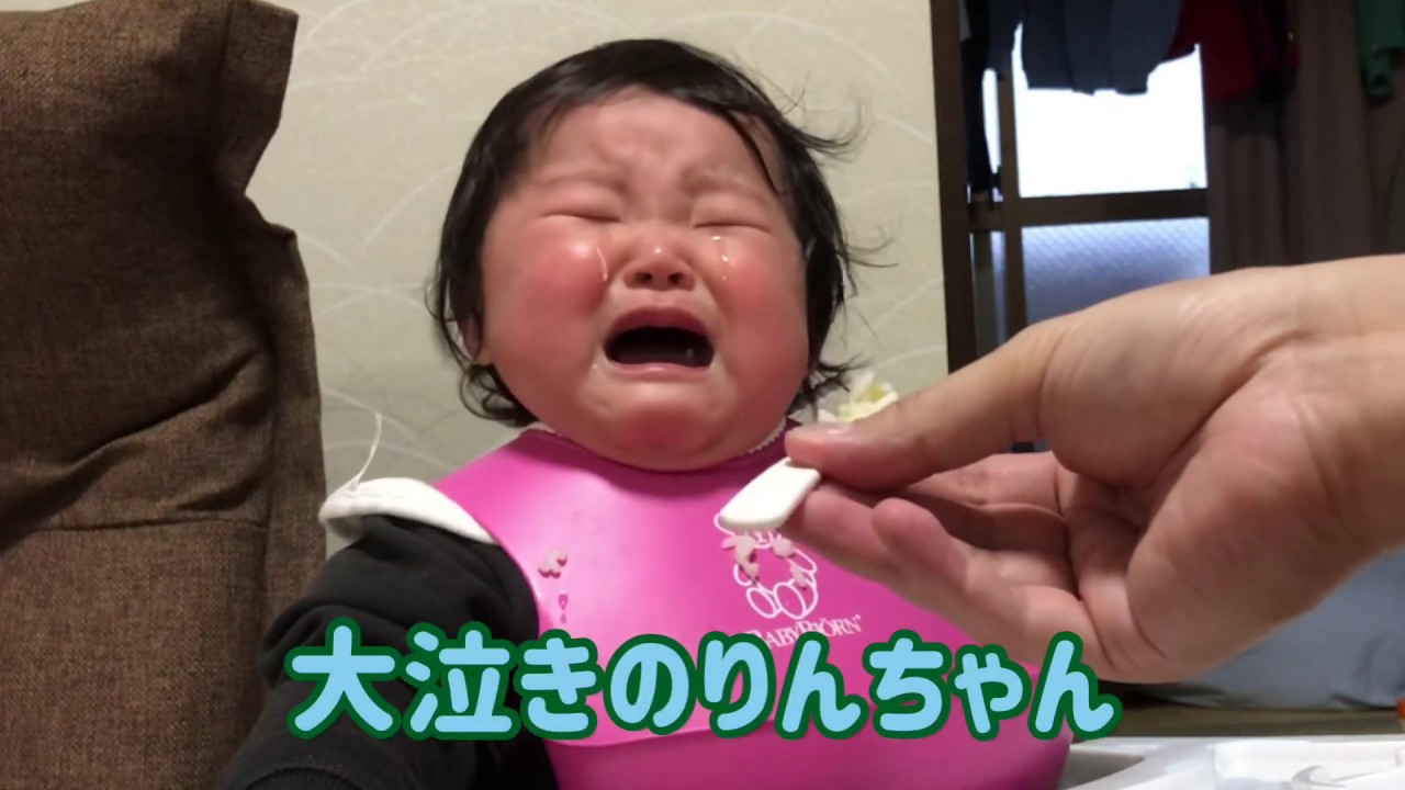 【大泣き】りんちゃんご飯で涙