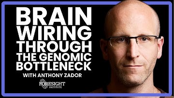 Anthony Zador |  Brain Wiring through the Genomic Bottleneck