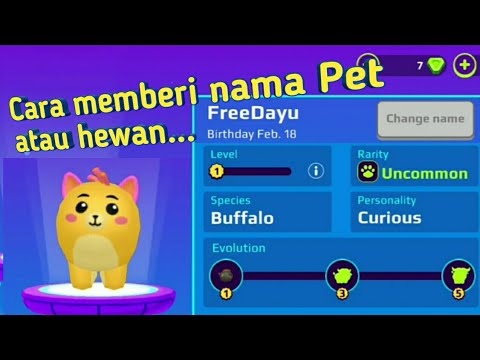 Video: Cara Menamakan Haiwan Kesayangan Anda