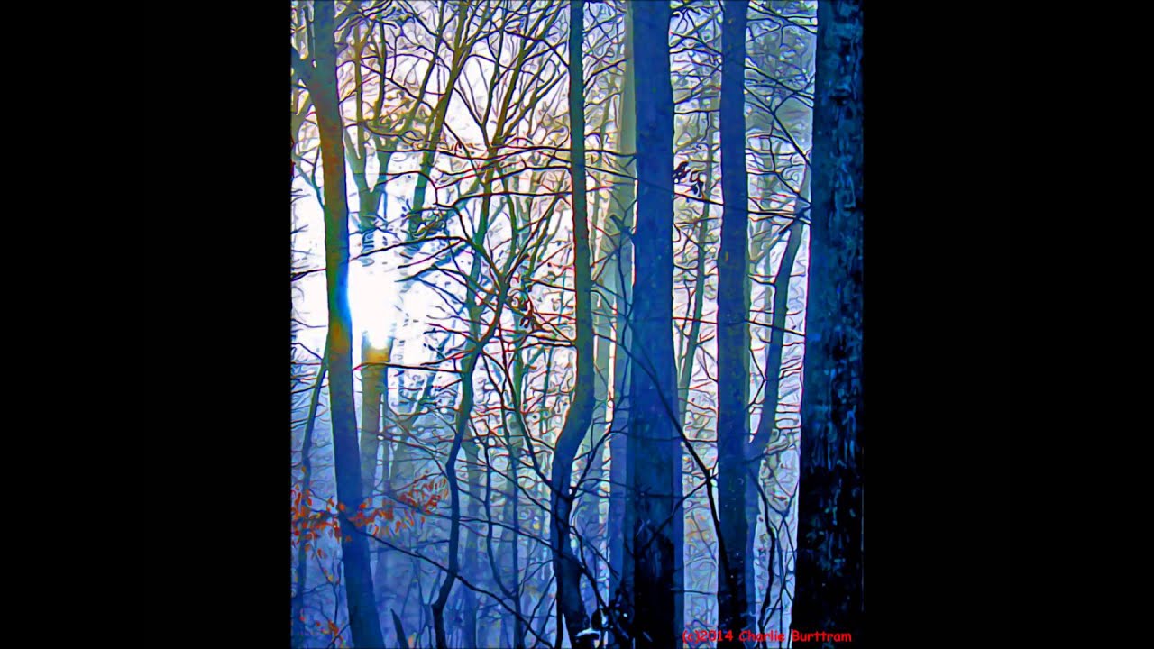 James McMurtry "Crazy Wind" YouTube