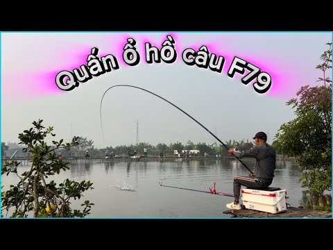 Anh Em Nào.. Bảo Mình Không Biết Câu Lửng
