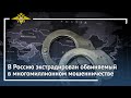 Ирина Волк: В Россию экстрадирован обвиняемый в многомиллионном мошенничестве