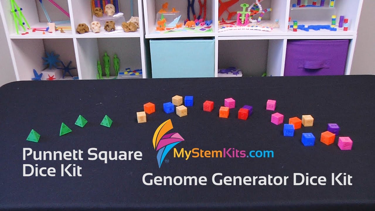 Punnett Square Dice (Gg) Kit & Genome Generator Dice Kit ...