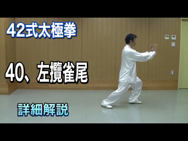 最強呉式太極拳の戦闘理論 太極拳で強くなれる! 太極拳で強くなれる! 最強呉式太極拳の戦闘理論 (BUDO-RA BOOKS