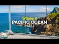 4K Stunning Rocky Shoreline - Virtual Window to Pacific Ocean Paradise of Maui Island, Hawaii