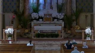 St. Paul the Cross Live Stream