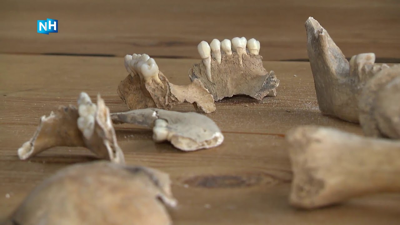Kinderen vinden eeuwenoude menselijke resten in duinen Bergen aan Zee