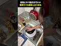 【簡単おつまみ】サバ缶と白菜だけ　元料理人がつくるおつまみがバカ美味ぇ！ #おつまみ
