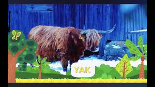 Yak Sound
