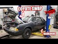 Day 4: El Toro Fox Body gets a Ford Gen 2 Coyote Swap plus Rear Suspension Upgrades!