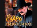 El chapo el gallito giro