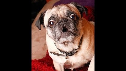 Call of Duty Black Ops 2 Short Clip: The Lag Switch is Real!