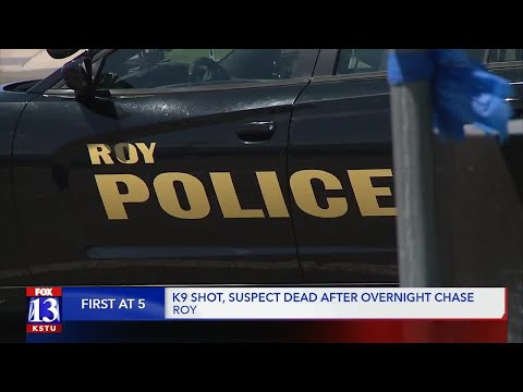 Suspect dead, Roy