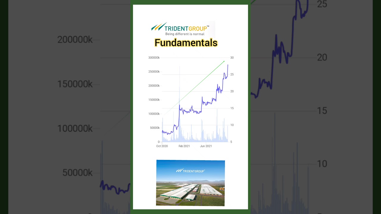Trident share -Fundamentals