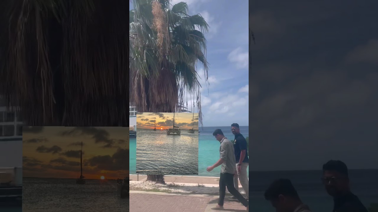 CruisechipBonaire  #bonaire #foryou #viral #foryoupage #followme #youtubeshorts #cruiseship#karibik