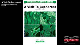 A Visit To Bucharest - David Bobrowitz - Grade 3