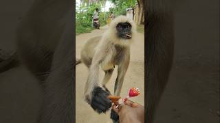Hanuman