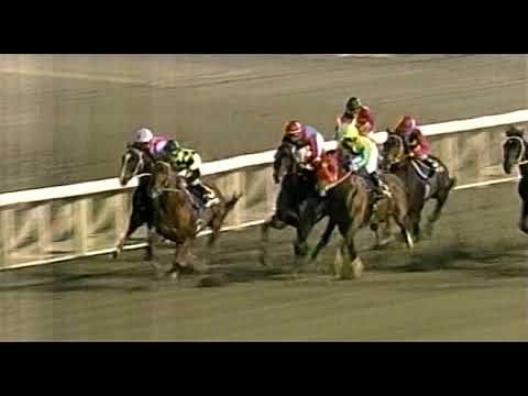 AVANTI Sサイズ 第47回東京ダービー トーシンブリザード 第47回 東京ダービー （2001/6/7・大井） トーシンブリザード