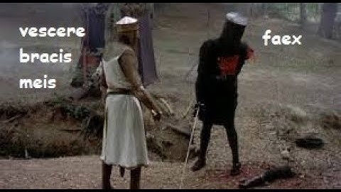 Gladiator Video Project - Monty Python and the Holy Grail (Black Knight Scene)