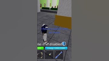 I found a hacker exploiting with no honor #roblox #bloxfruits