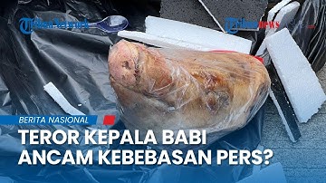 Jurnalis Tempo Terima Teror, Paket Misterius Berisi Kepala Babi Picu Kekhawatiran Kebebasan Pers