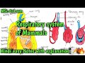 #Respiratory System in mammals ✨✨🔥#msc zoology 3 rd sem #Hindi easy Notes 🔥🔥📝📝📝#realriddhi
