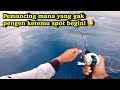 Edann.., Mancing Jigging Bertemu Sarang Ikan Besar-besar  ! (Part2)