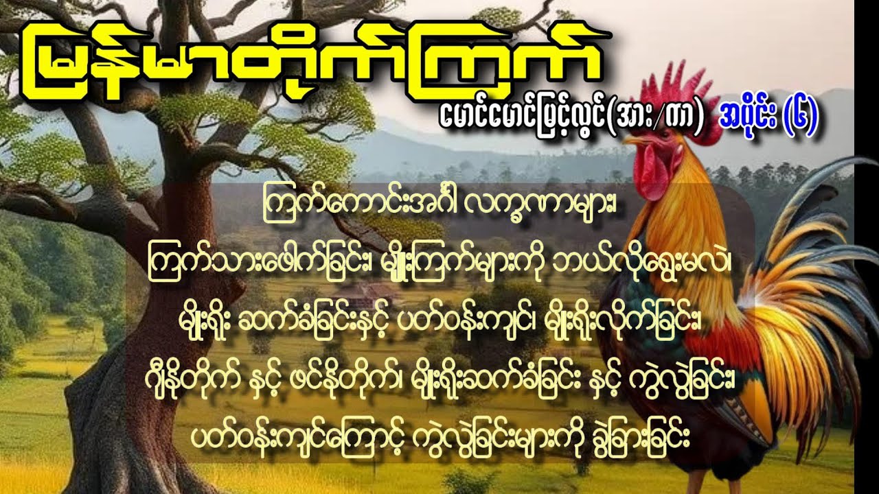 မြန်မာ တိုက်ကြက် အပိုင်း ၆ မောင်မောင်မြင့်လွင်