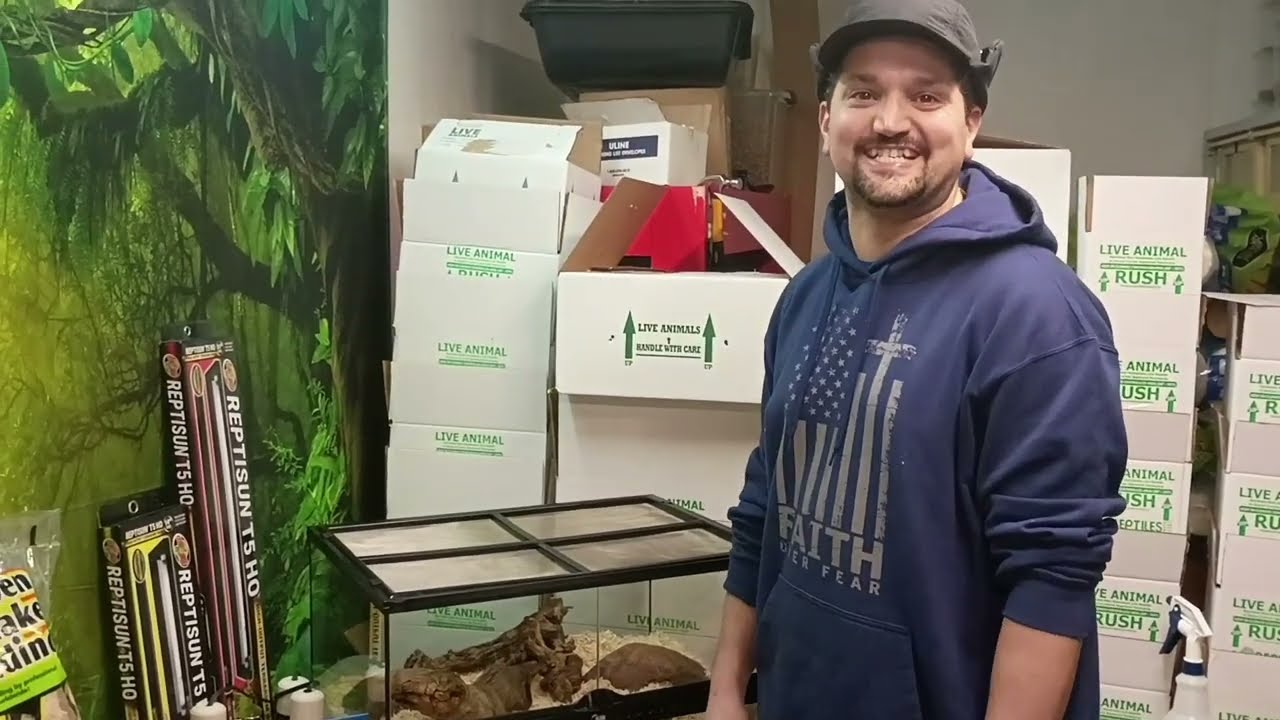 Enclosure Setup - Mexican Black Kingsnake