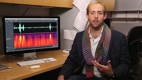 How Does Your Brain Decode Garbled Speech?