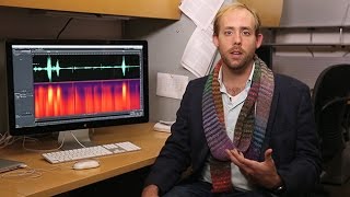 How Does Your Brain Decode Garbled Speech?