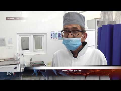 Гаряча пора для змій