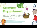 Make Your Own Science Experiment - DIY Clothes Dye Using Natural Vegetables