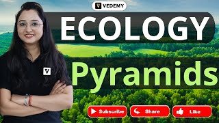 Ecological Pyramids | Ecology | By Jyoti Kumari | CSIR | GATE | DBT | ICMR | ICAR | CUET |