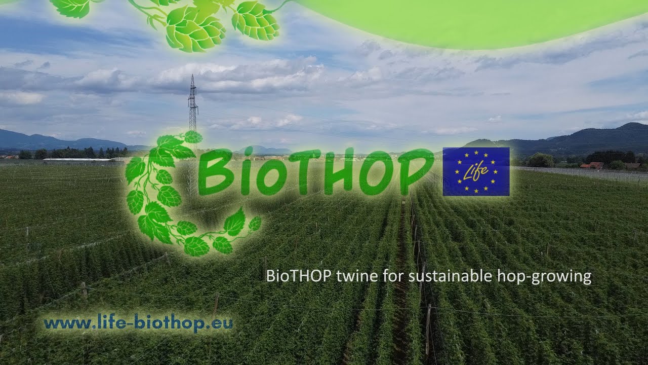 BioTHOP twine for sustainable hop-growing
