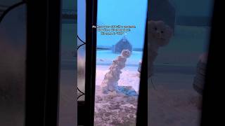 At first, he was just a happy little snowman. Then he started leaning at a weird angle 😳⛄️