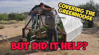 Getting the Greenhouse Ready For Winter, But Will It Help? Shocking Ending!
#GardenGreenhouse #sustainable #garden2table
In this video, we cover the greenhouse with a transparent tarp and enclose it to get ready for winter. But you have to watch the whole video because, the question is will this work.
After experiencing a hard freeze just after the completion of the greenhouse, the results will be shocking. Getting the Greenhouse Ready For Winter, But Will It Help? Shocking Ending!