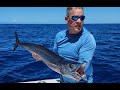 Simple trick to prevent wahoo cutoffs  shawn rotella  in the spread fishings