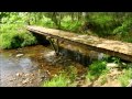 Foot Bridge Project and Email From Ruger Foot Bridge Project and Email From Ruger
